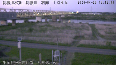 tonme2026042519_image