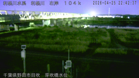 tonme2026042523_image