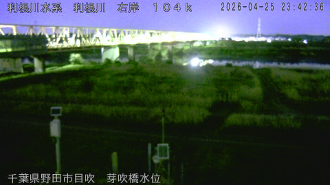 tonme2026042600_image