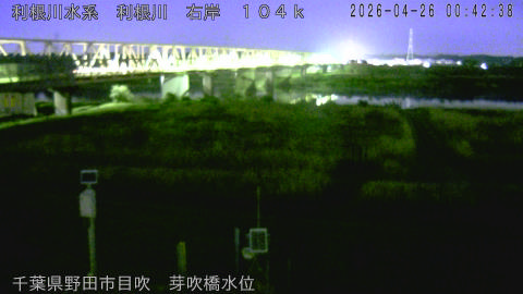 tonme2026042601_image