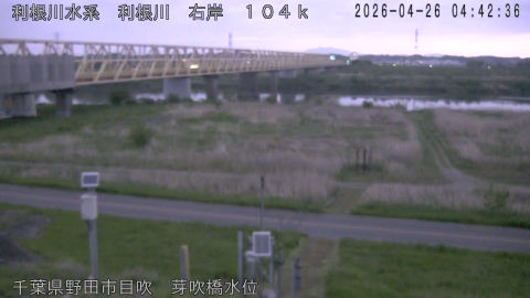 tonme2026042605_image