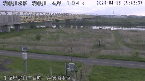 tonme2026042606_image