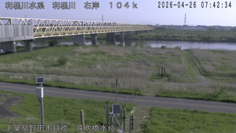 tonme2026042608_image