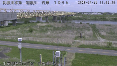 tonme2026042612_image