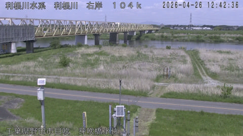 tonme2026042613_image