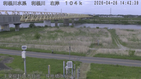 tonme2026042615_image