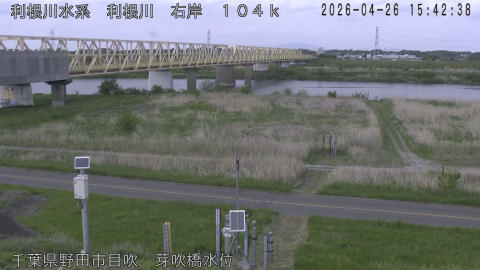 tonme2026042616_image