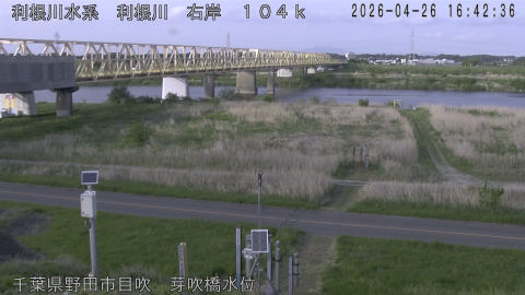 tonme2026042617_image