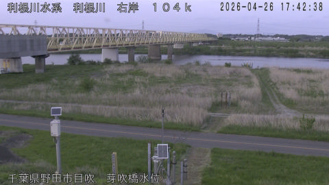 tonme2026042618_image