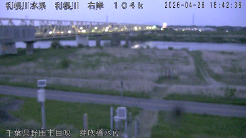 tonme2026042619_image