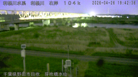 tonme2026042620_image