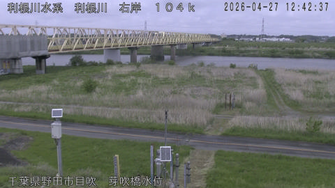 tonme2026042713_image