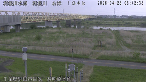 tonme2026042809_image