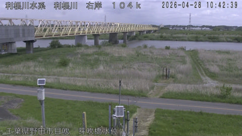 tonme2026042811_image