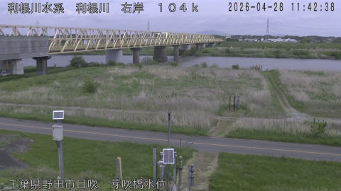 tonme2026042812_image