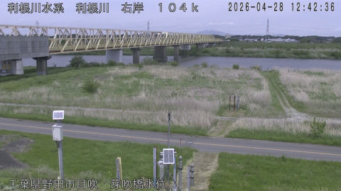 tonme2026042813_image