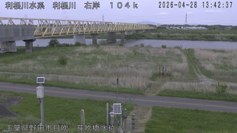 tonme2026042814_image