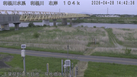 tonme2026042815_image