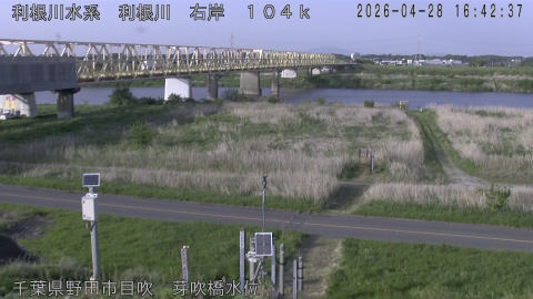 tonme2026042817_image