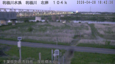 tonme2026042819_image