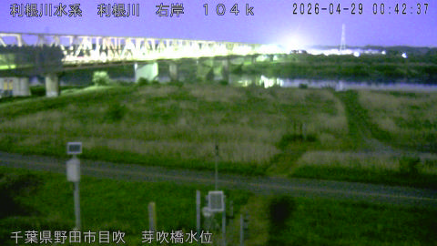 tonme2026042901_image