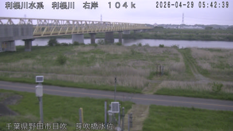 tonme2026042906_image