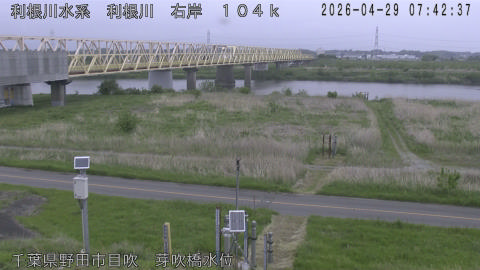 tonme2026042908_image