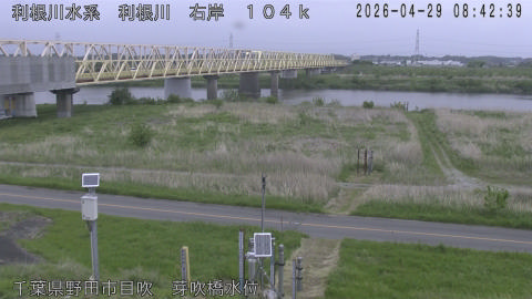 tonme2026042909_image