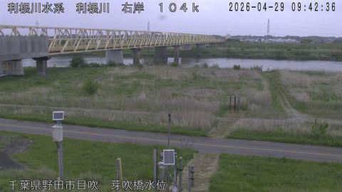 tonme2026042910_image