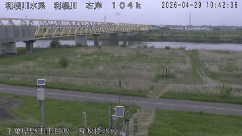 tonme2026042911_image