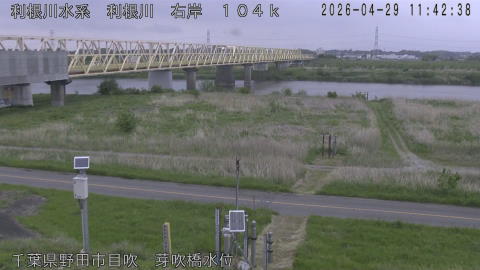 tonme2026042912_image