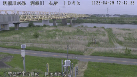 tonme2026042913_image