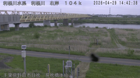 tonme2026042915_image