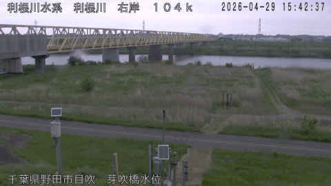 tonme2026042916_image