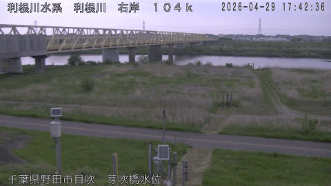 tonme2026042918_image