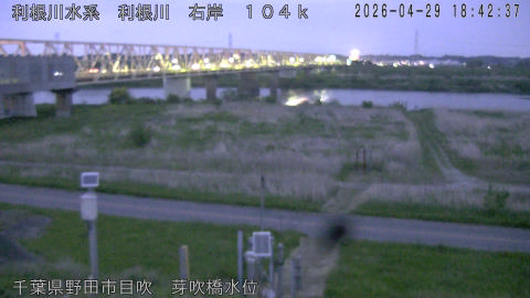 tonme2026042919_image