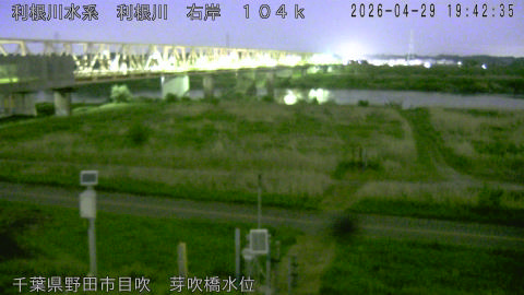 tonme2026042920_image