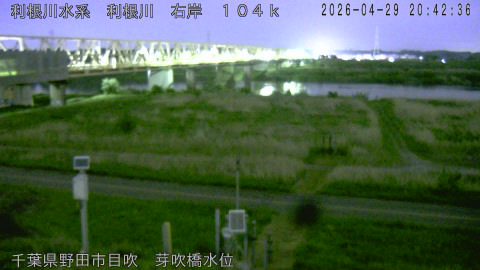 tonme2026042921_image