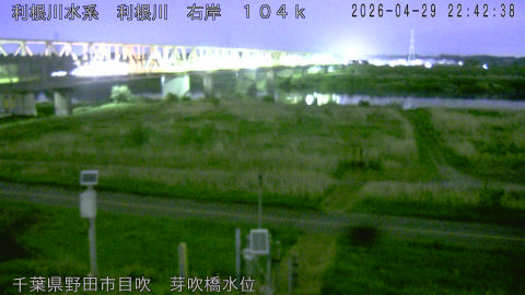 tonme2026042923_image