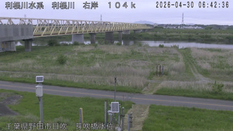 tonme2026043007_image