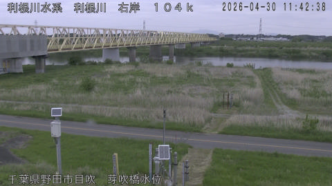 tonme2026043012_image