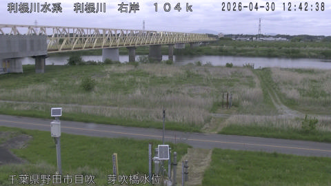 tonme2026043013_image