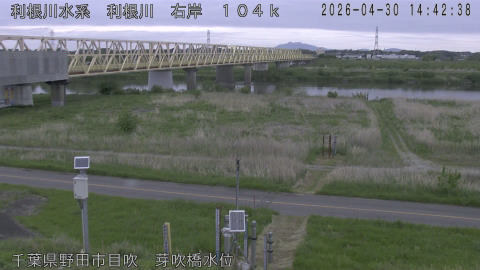 tonme2026043015_image