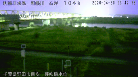 tonme2026050100_image