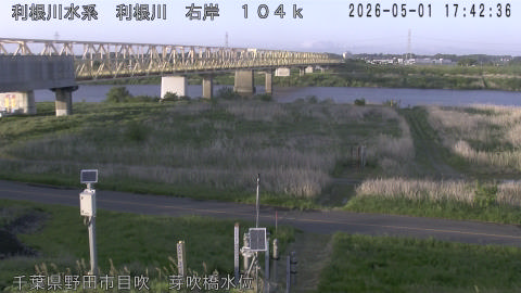 tonme2026050118_image