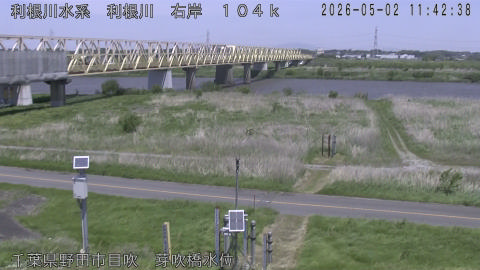 tonme2026050212_image