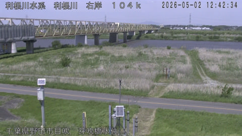 tonme2026050213_image