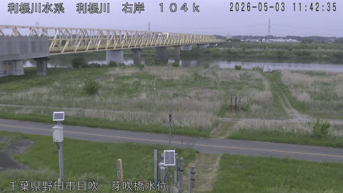 tonme2026050312_image