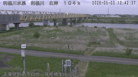 tonme2026050313_image