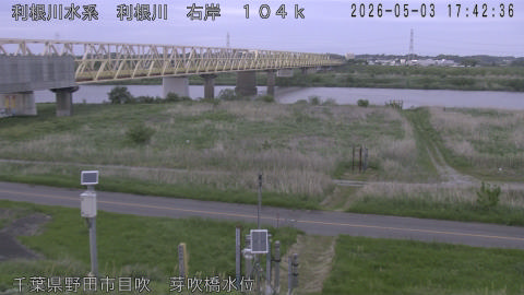 tonme2026050318_image